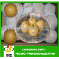 Chine Singo pear / Poire Fengshui Chinoise